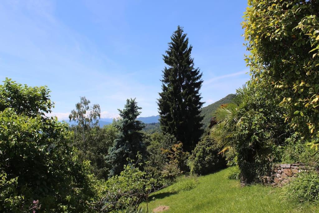 Il Bell'ovile, Bellissima Nel Verde, Con Privacy Garantita *